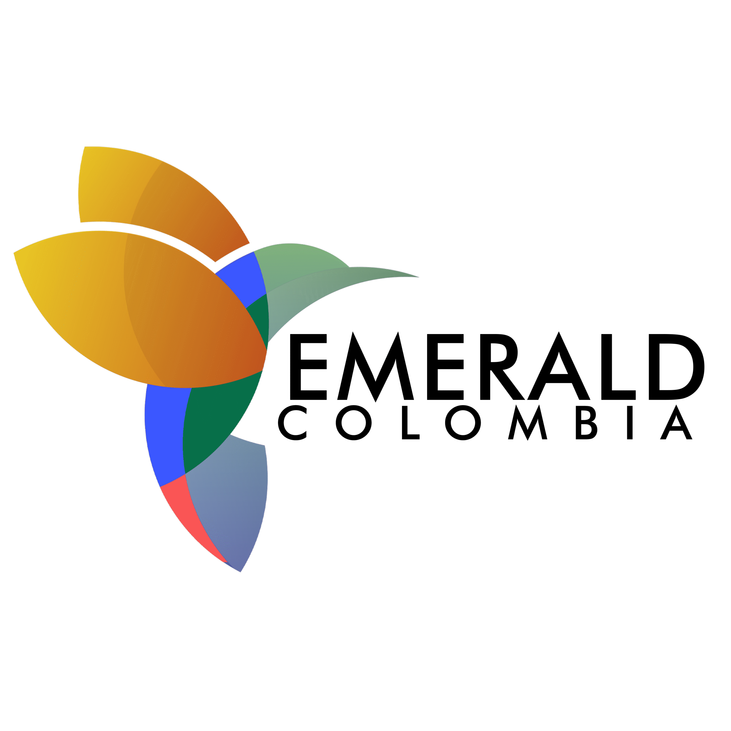 logo text negro